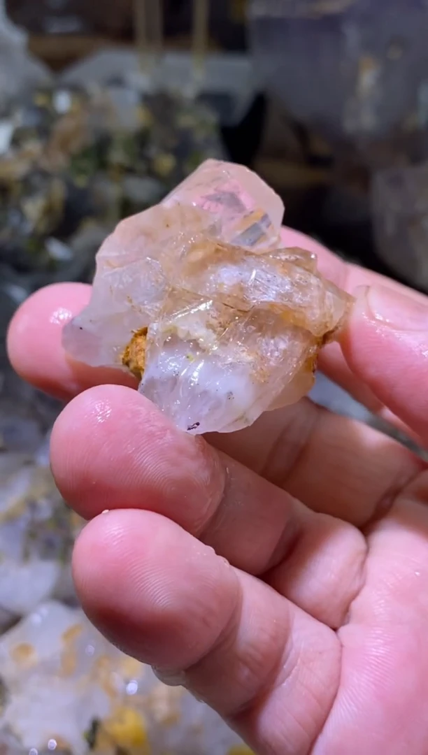 未镶嵌珠宝半成品水晶Y****Y骸骨水晶