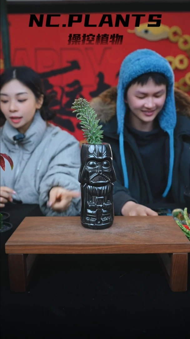 【闪购商品】超大紫纹龙