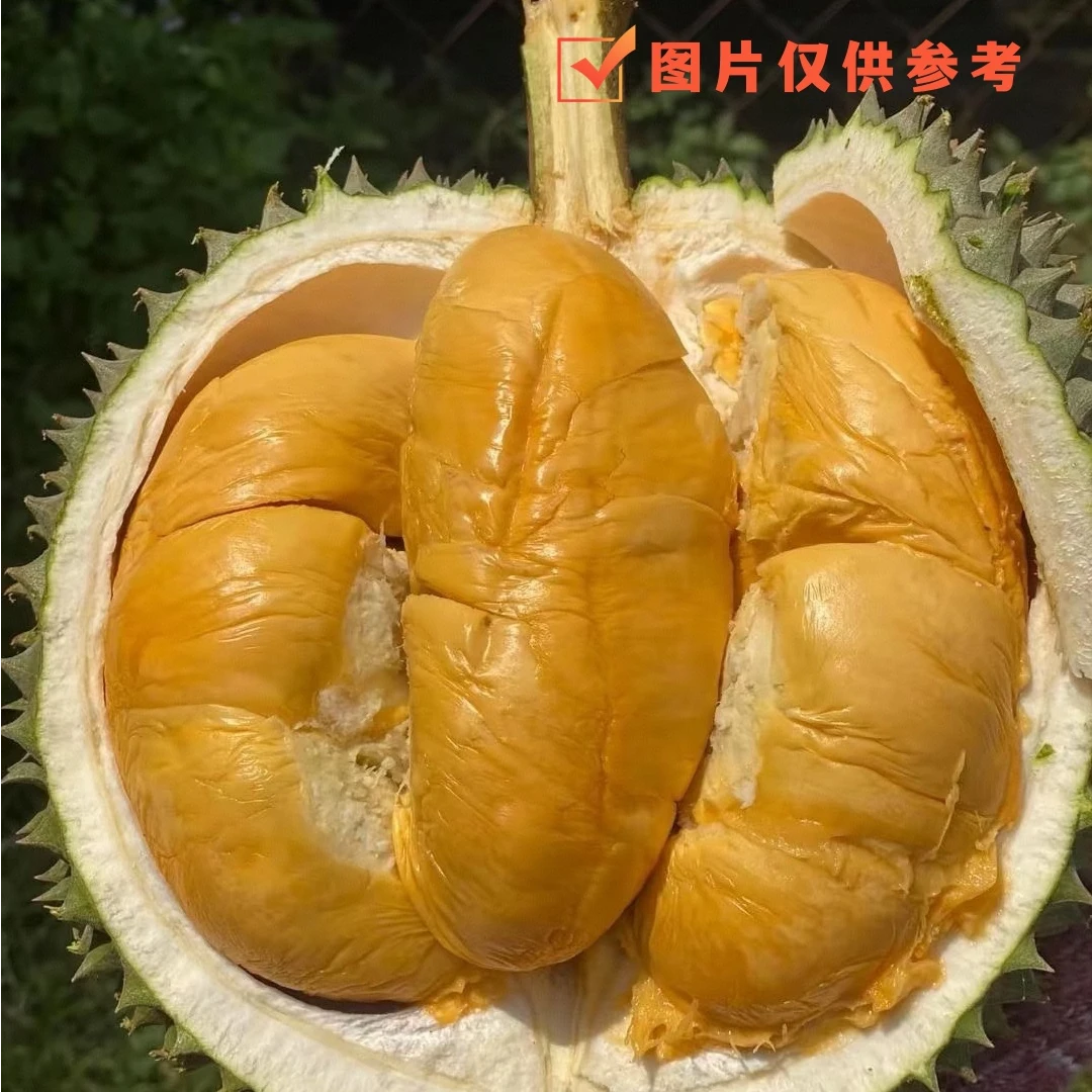 【贵阳同城小时达】 马来西亚液氮黑刺D200 现开果纯肉 500g(果核略大)黑刺马来西亚