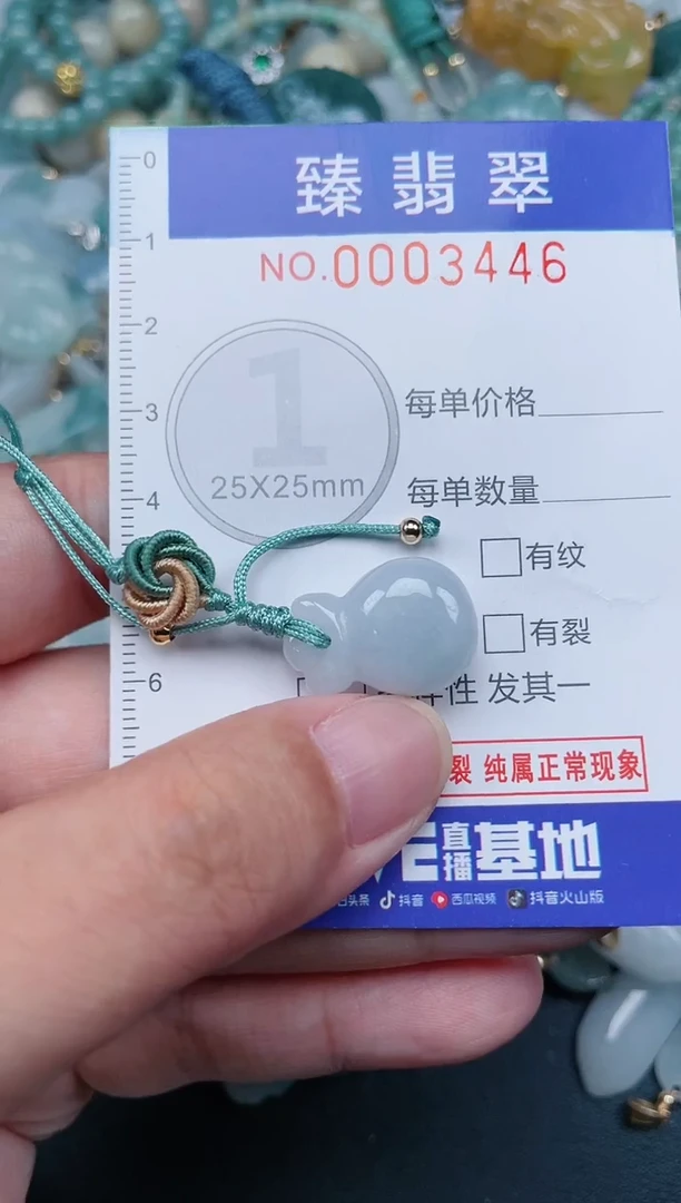 翡翠未镶嵌颈饰.0003446