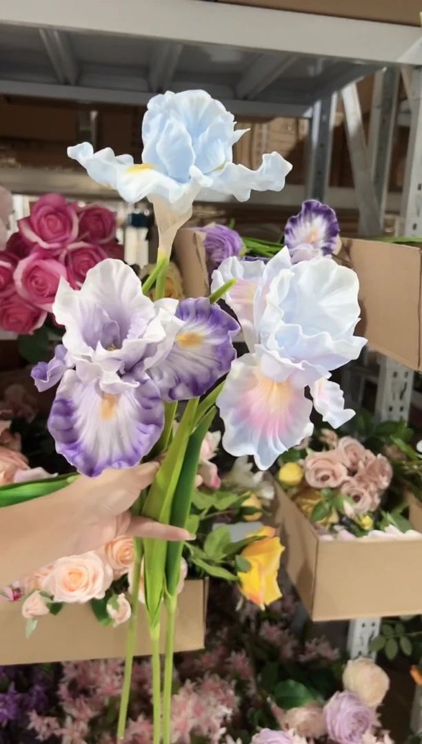 3枝混色大鸢尾花花