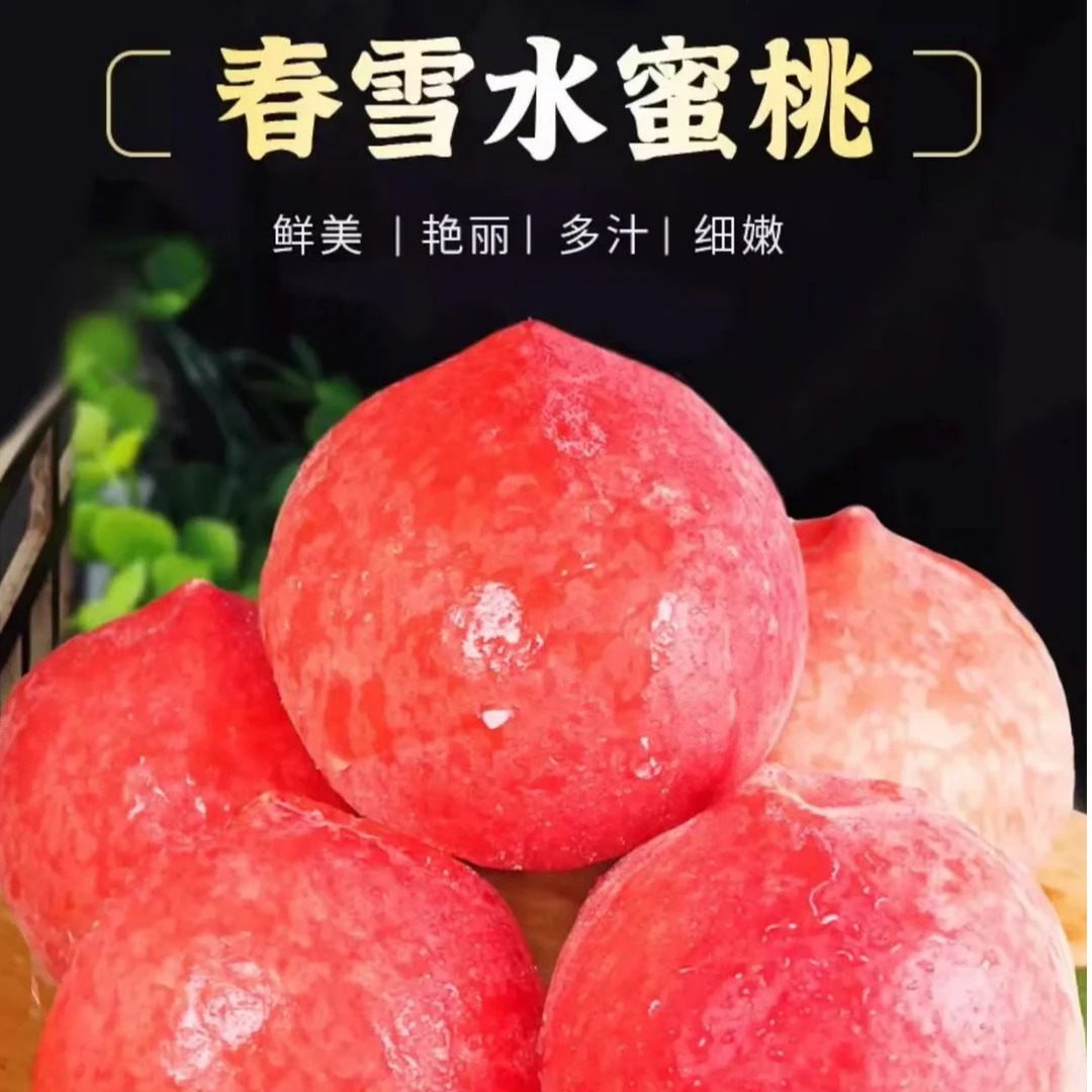 【春雪】脆桃水蜜桃硬吃脆甜软吃软糯香甜新鲜采摘带箱5斤