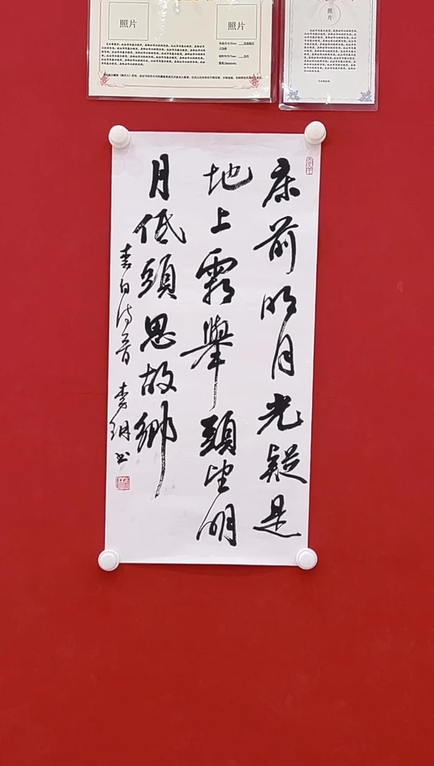 【闪购商品】书法李琳     书法  2平尺