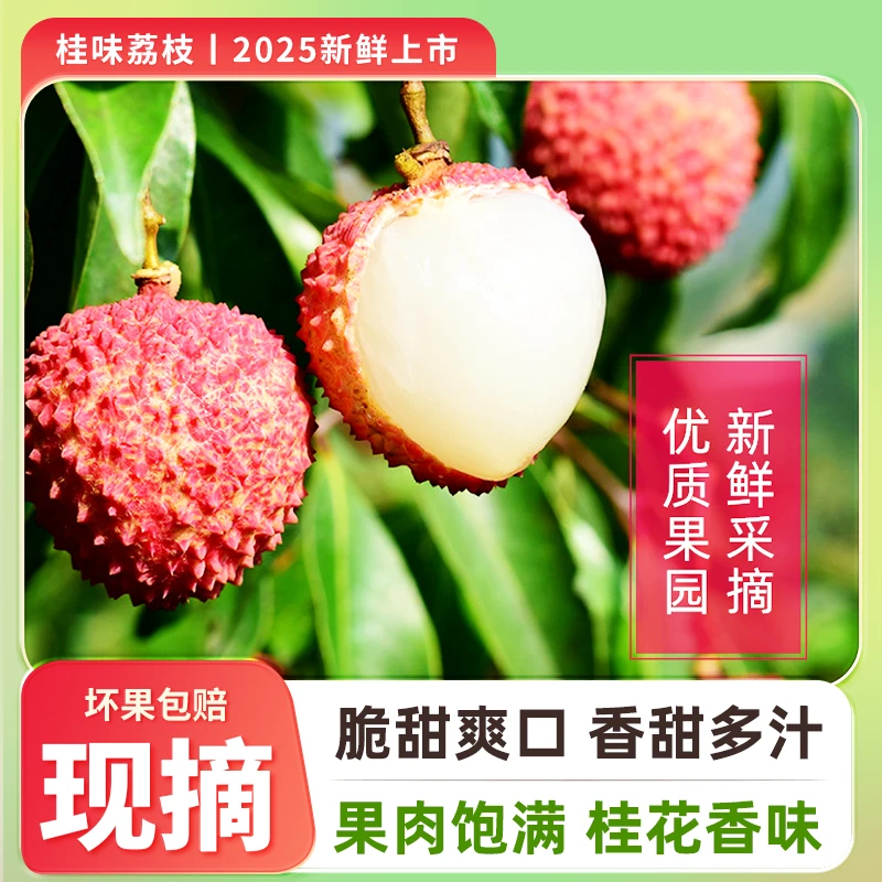 【冷链包邮】广东桂味荔枝4.5斤（单果重13-20g）