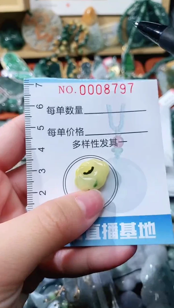 【闪购商品】翡翠颈饰未镶嵌闪购0008797