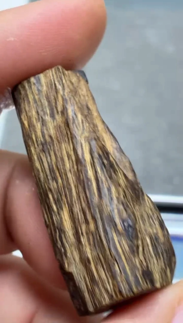 沉香吊坠 莱特随型沉水吊坠多样性发其一