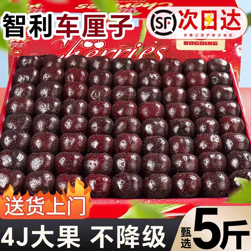 【净重5斤原箱】智利桑提娜车厘子进口海运车厘子2JD-5JD内附果径卡