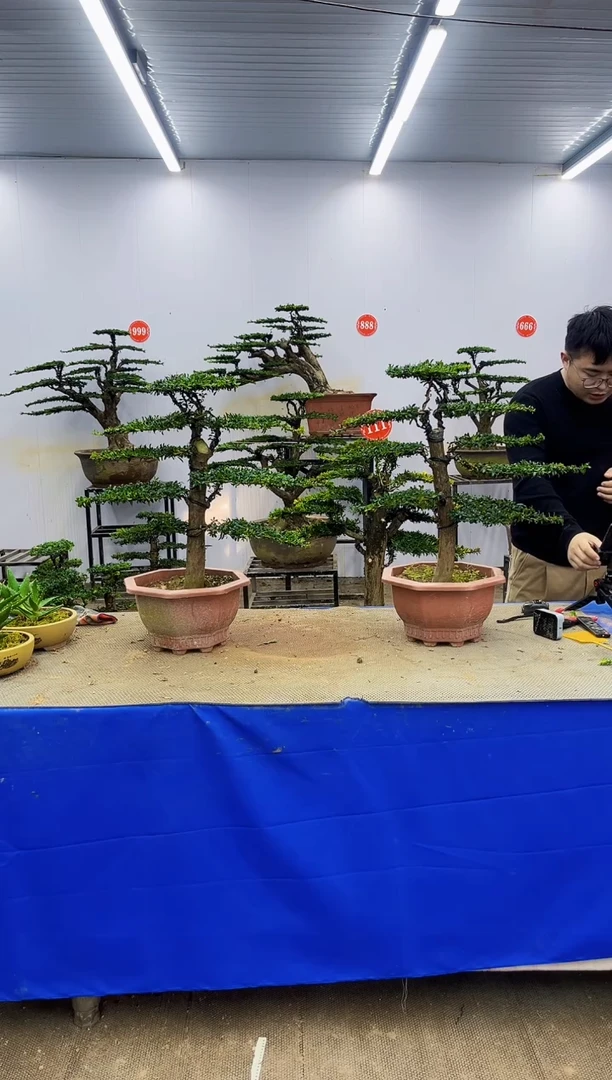 以实际为准一物一拍，所见即所得