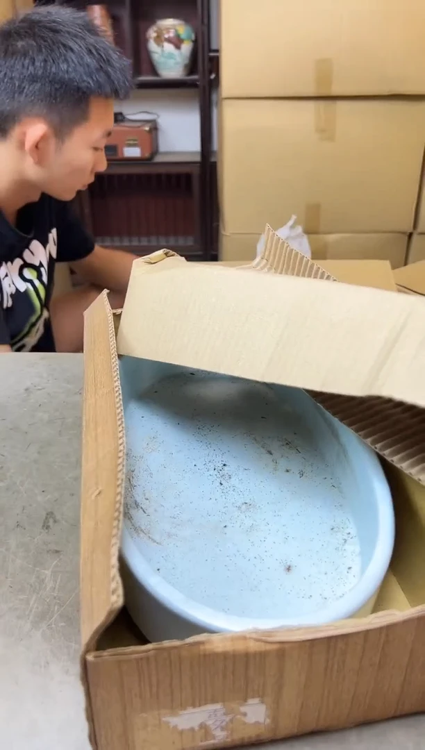 瓷片1290聚宝缘海淘精选