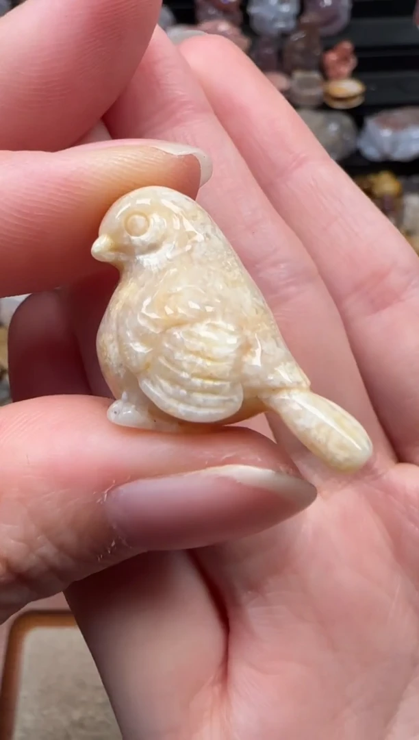 颈饰未镶嵌硅化珊瑚（珊瑚玉）332