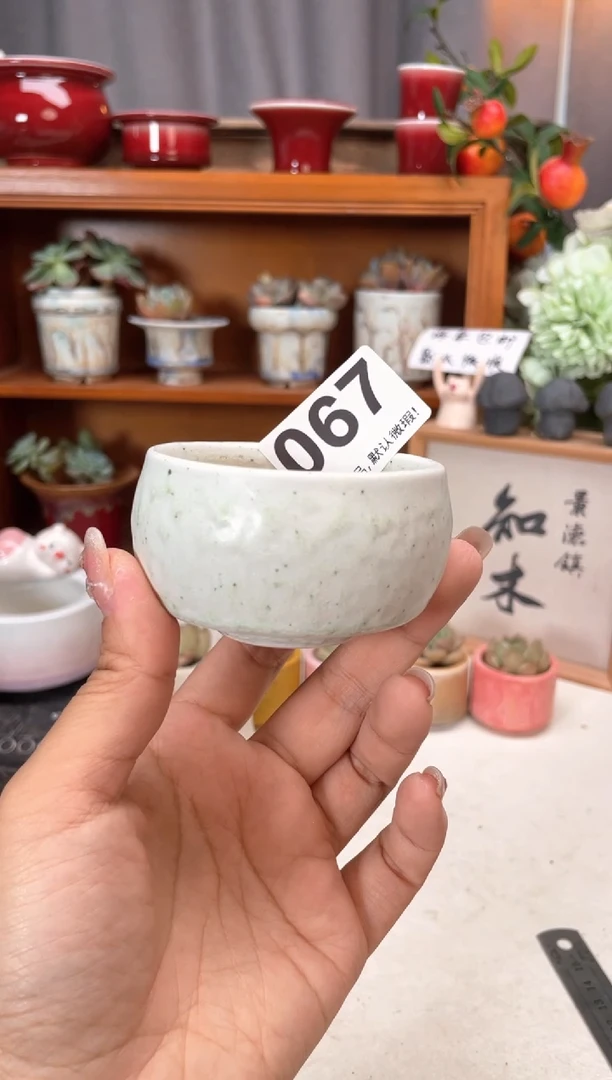 瓷片067知木小芳花盆编号
