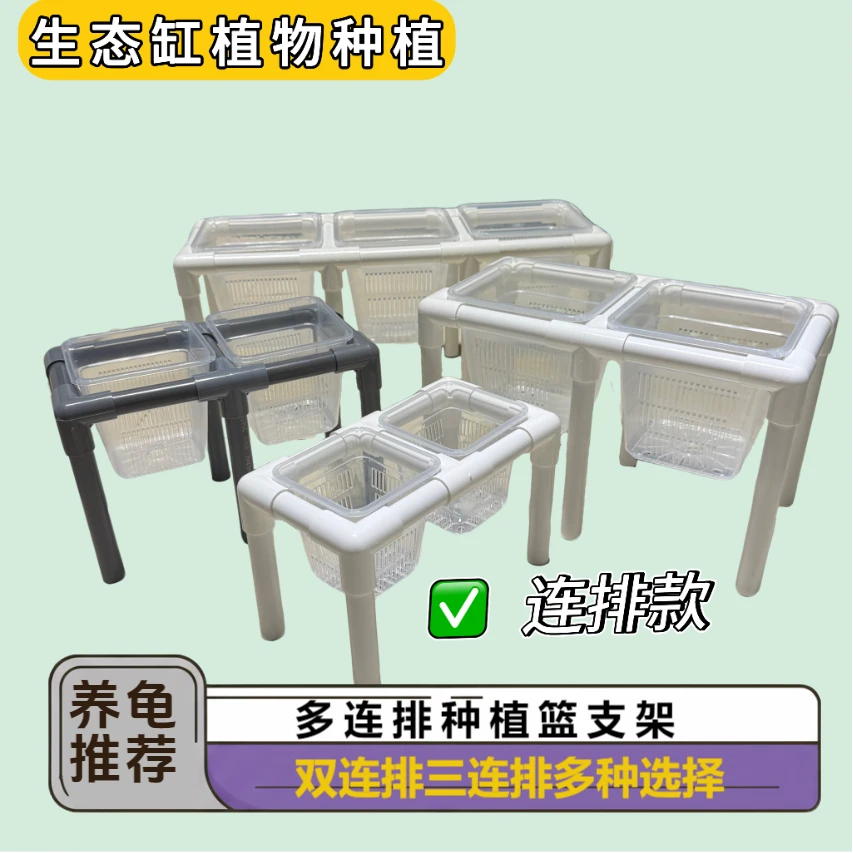 多连排种植篮支架定植篮支架生态缸植物种植定植篮多连排支架