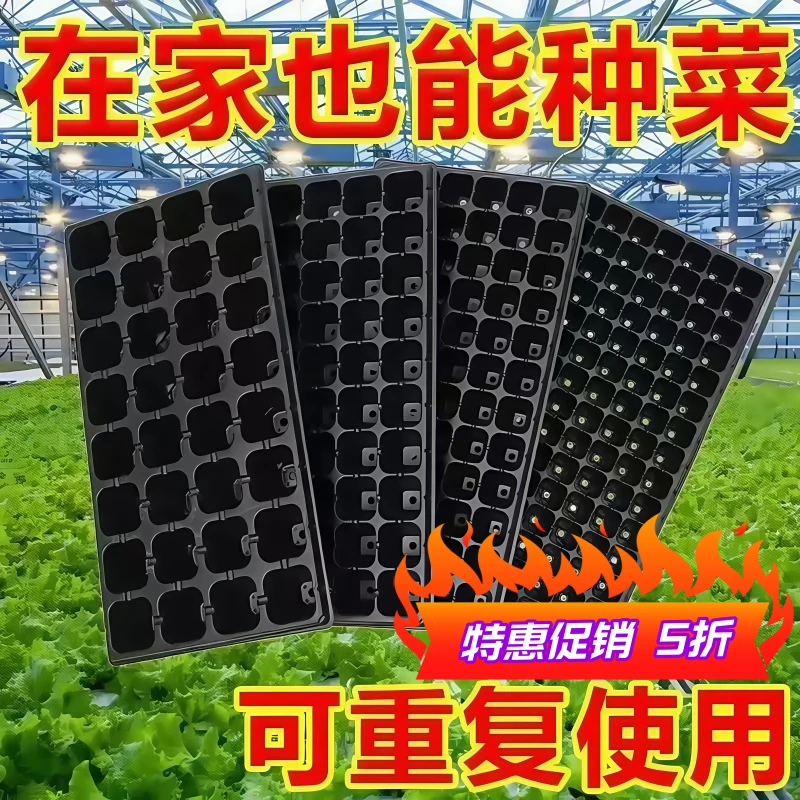 种植盘育苗超厚玉米种菜加厚草莓盘育苗盘穴盘育苗盆育秧盘辣椒苗