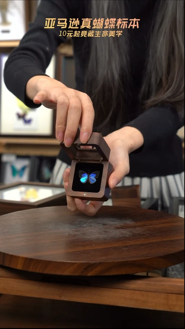 雅灰蝶胡桃木款