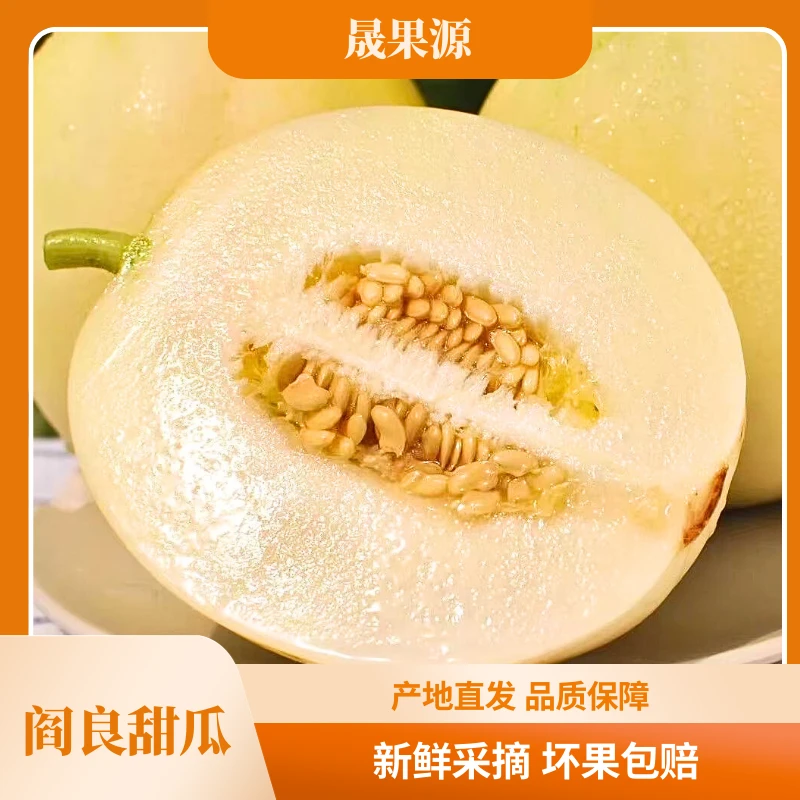 陕西阎良甜瓜头茬小籽蜜瓜白皮香瓜新鲜产地直发4.5斤