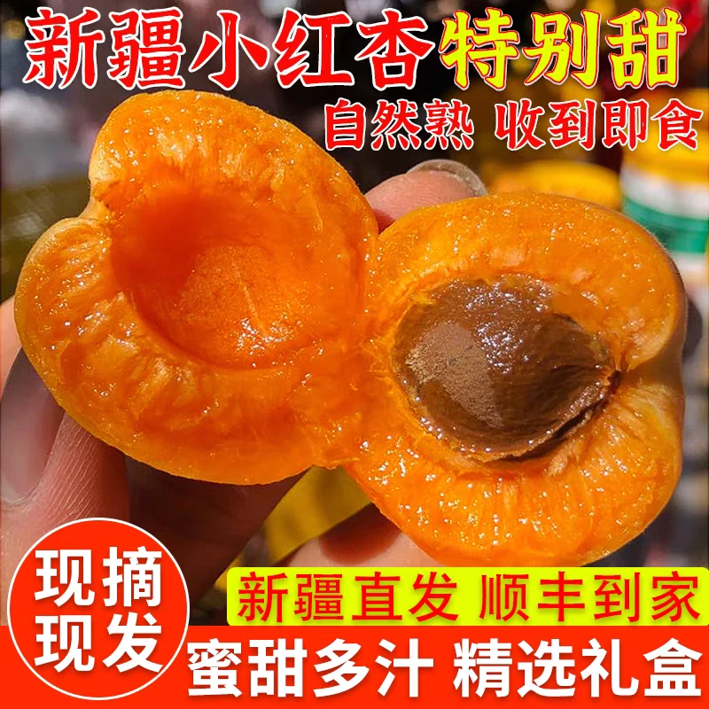 【顺丰空运】新疆小红杏吊干杏新鲜甜杏时令水果净3/水果当季热卖