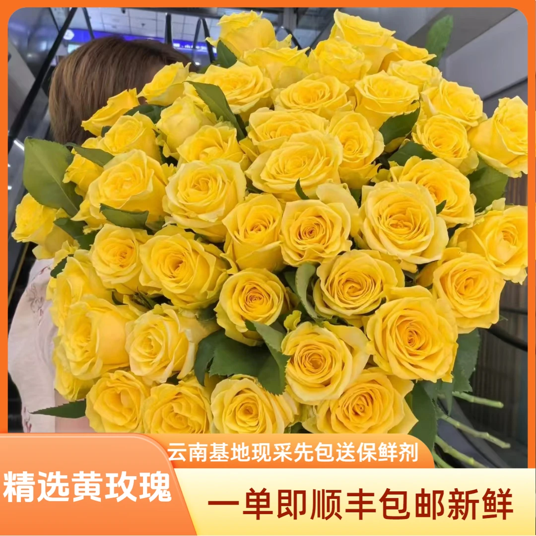 金枝玉叶黄玫瑰网红玫瑰花云南鲜花基地直供情人节送爱人顺丰包邮