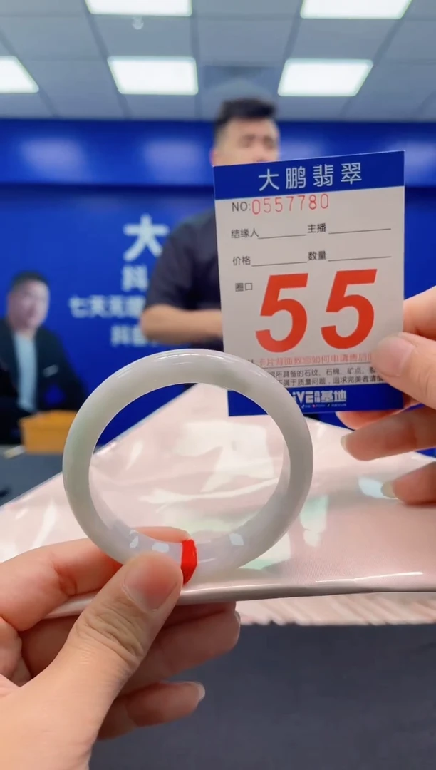 未镶嵌手镯翡翠AAAAAAAAA