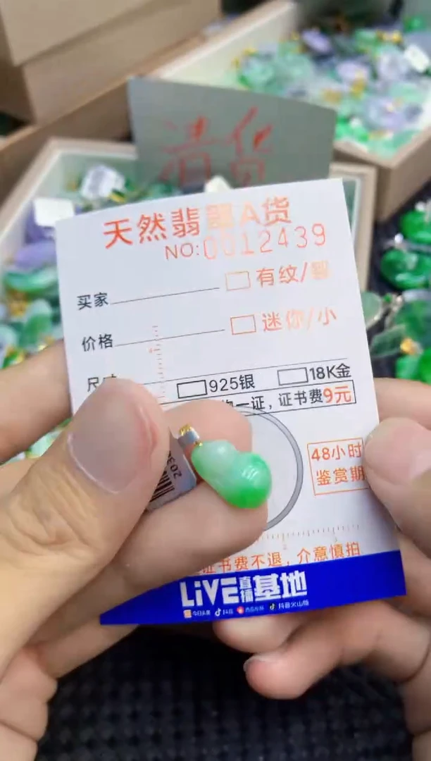 翡翠未镶嵌吊坠(不含链)1