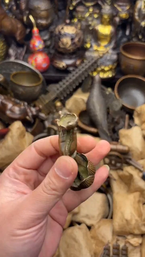 小周专属精选链接