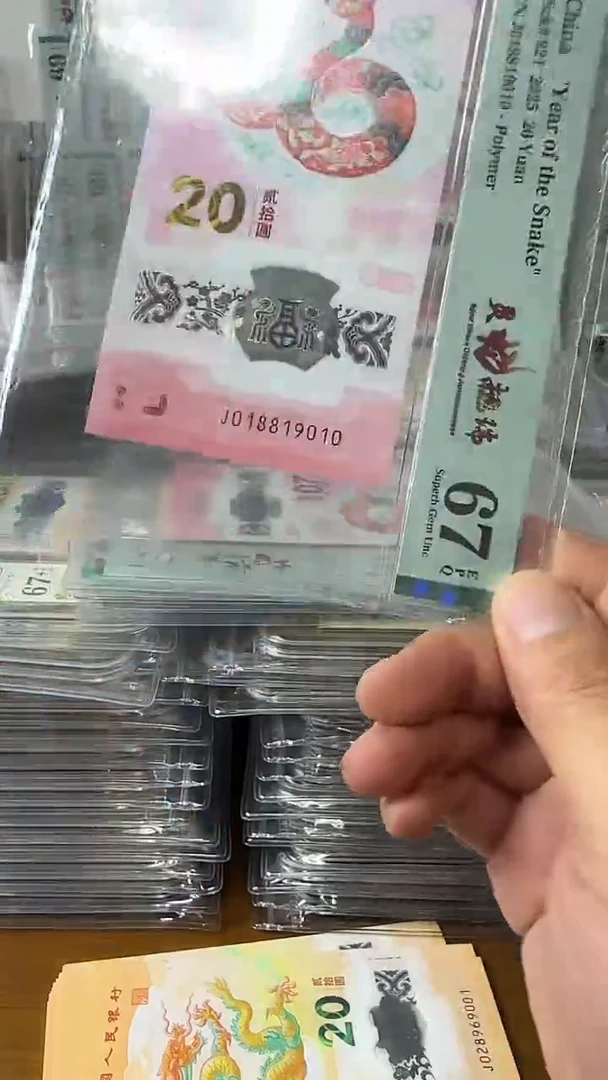 塑料018819010蛇钞单张
