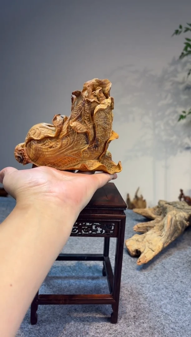 柏木（崖柏）崖柏崖柏