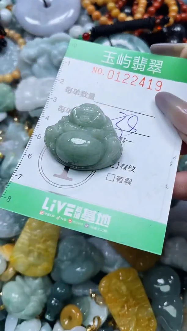 翡翠未镶嵌颈饰闪购0122419多样性发其一