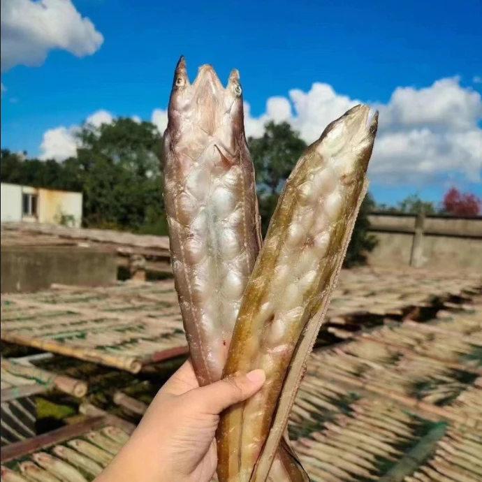 鳗鲞油鳗鱼干油脂丰富无刺肉质细嫩整条淡晒七星鳗鲞
