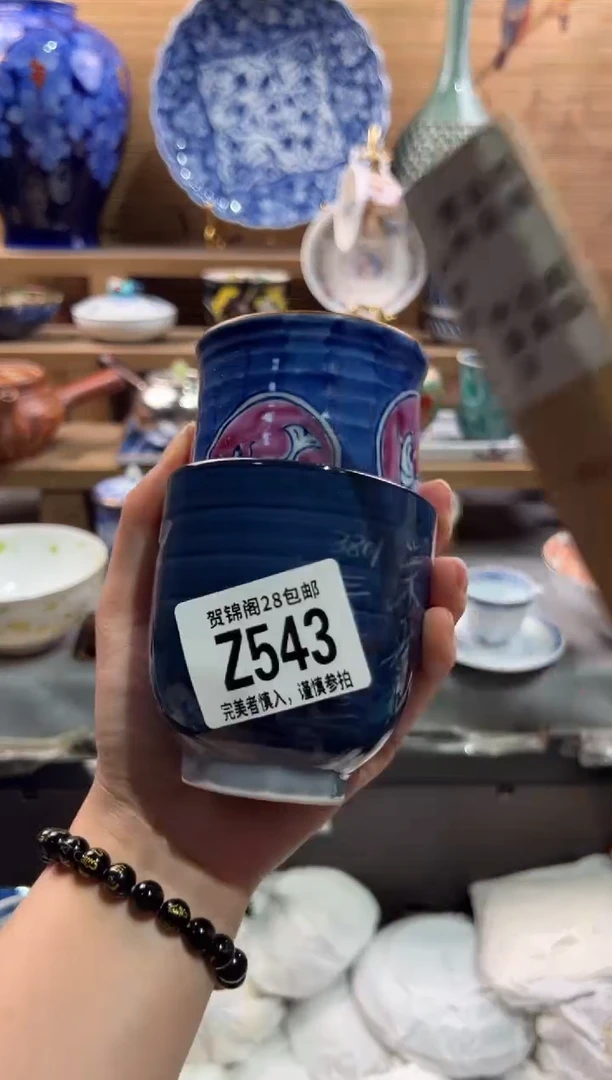 瓷片珊*      Z543