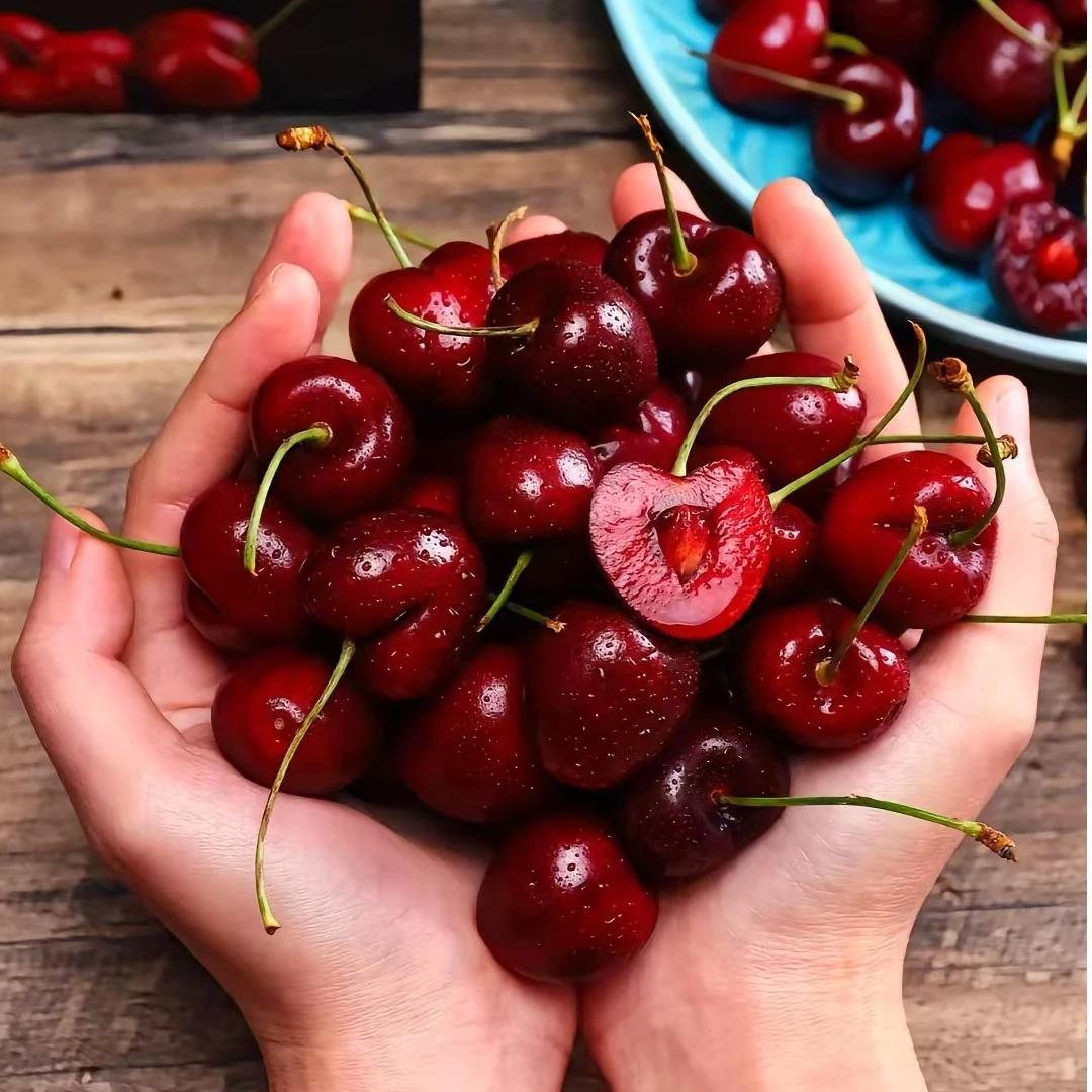 【勇习优选】智利进口拉宾斯车厘子2JD2斤装