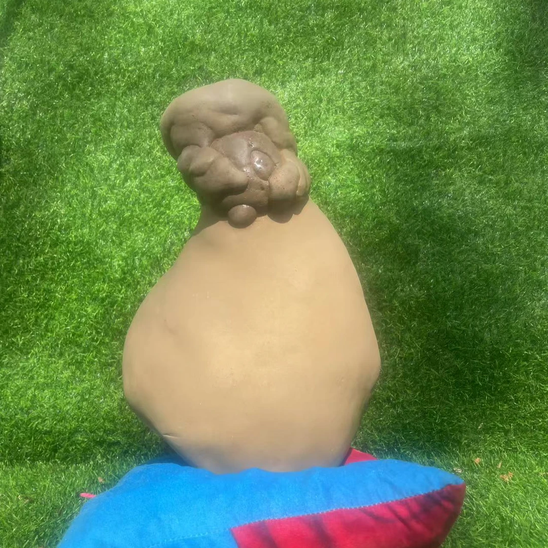 青海卡通石盆景石