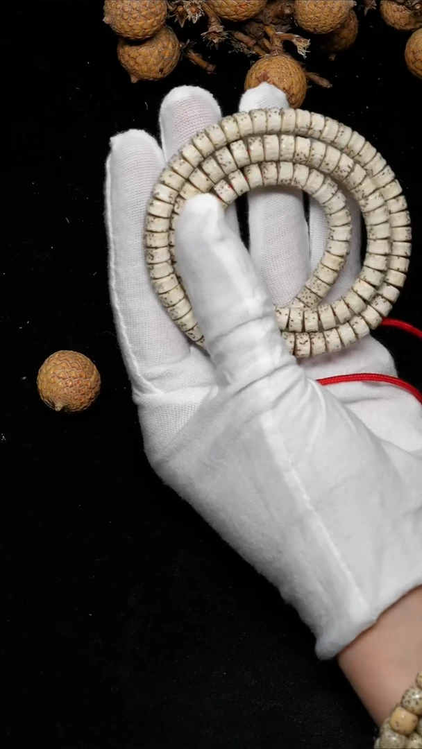 吊坠星月菩提108蛇骨星火-C005