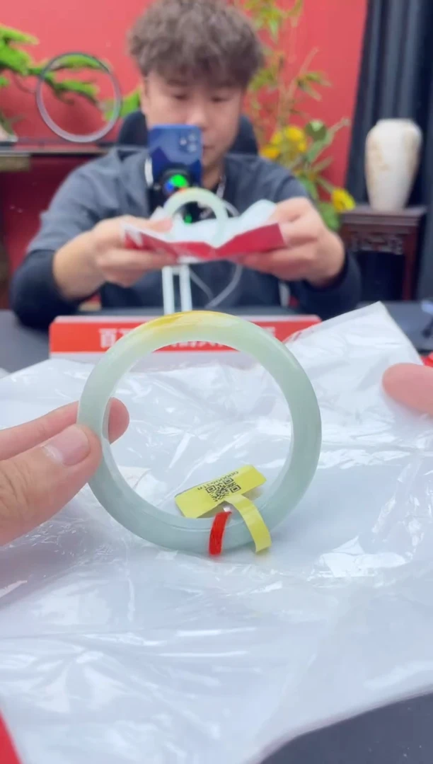 未镶嵌手镯翡翠9