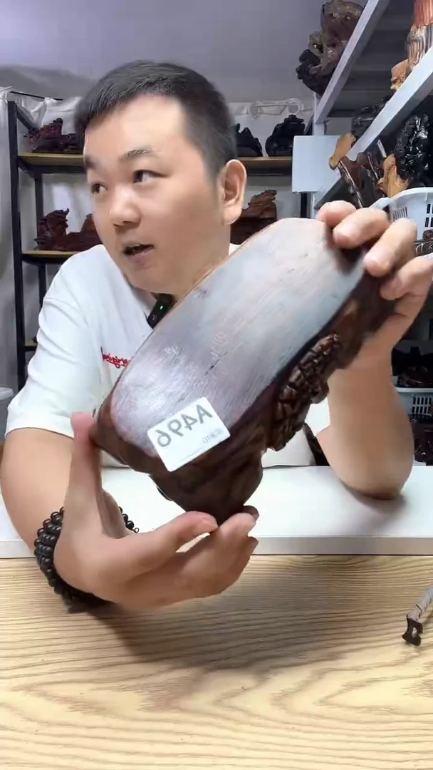 木496-------------