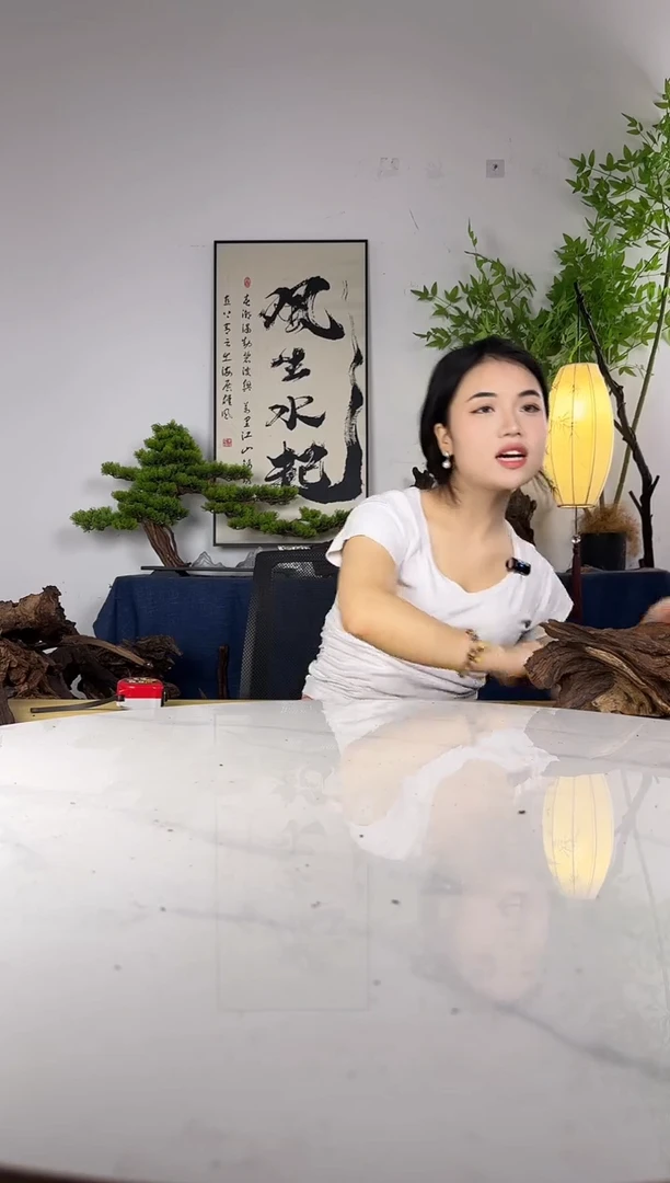 “****”拍这个定向编号119