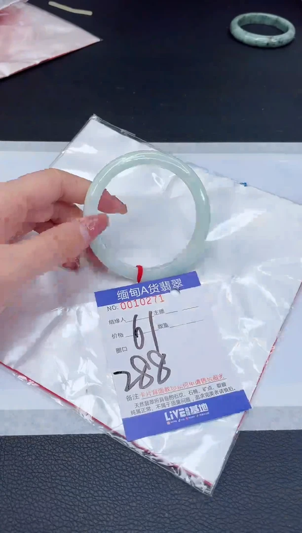 未镶嵌手镯翡翠我t1