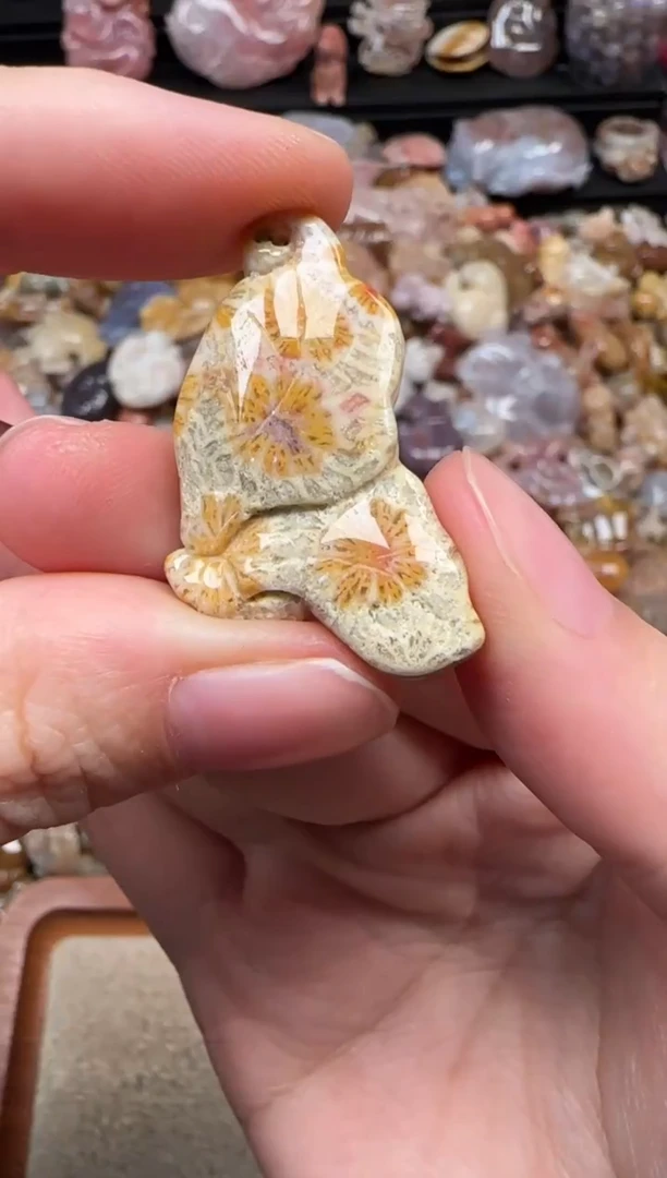 颈饰未镶嵌硅化珊瑚（珊瑚玉）266