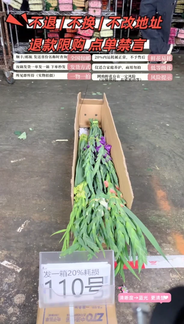 110号剑兰4♥含20%耗损发一箱