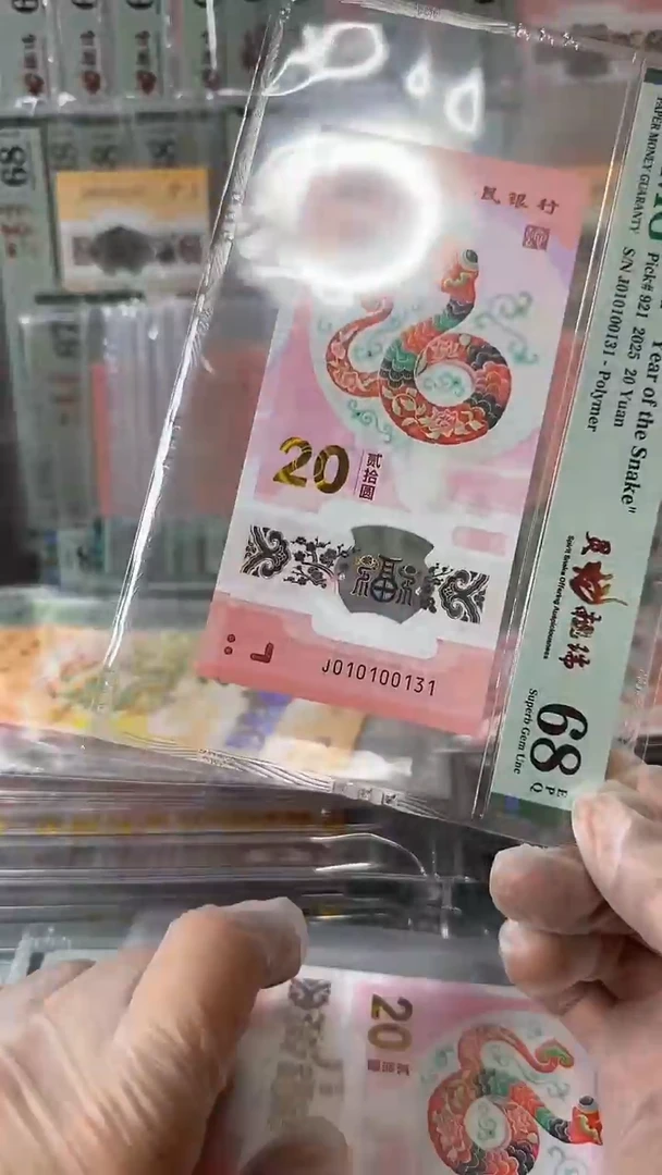 塑料010100131-蛇钞单张