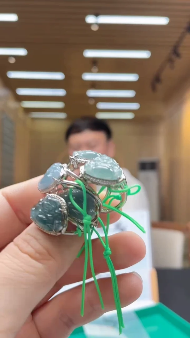 翡翠未镶嵌颈饰多样性发货（只发一件）x22