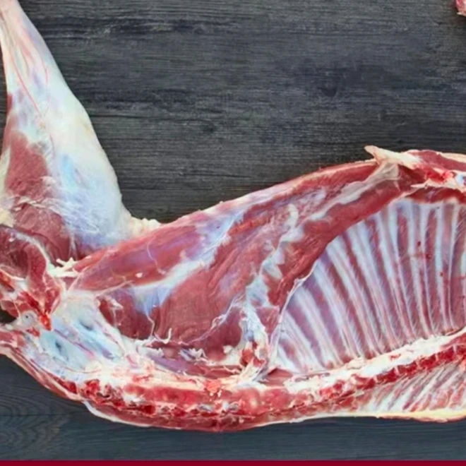 新鲜羊羔肉半只羊可烧可炒可炖肉质鲜嫩