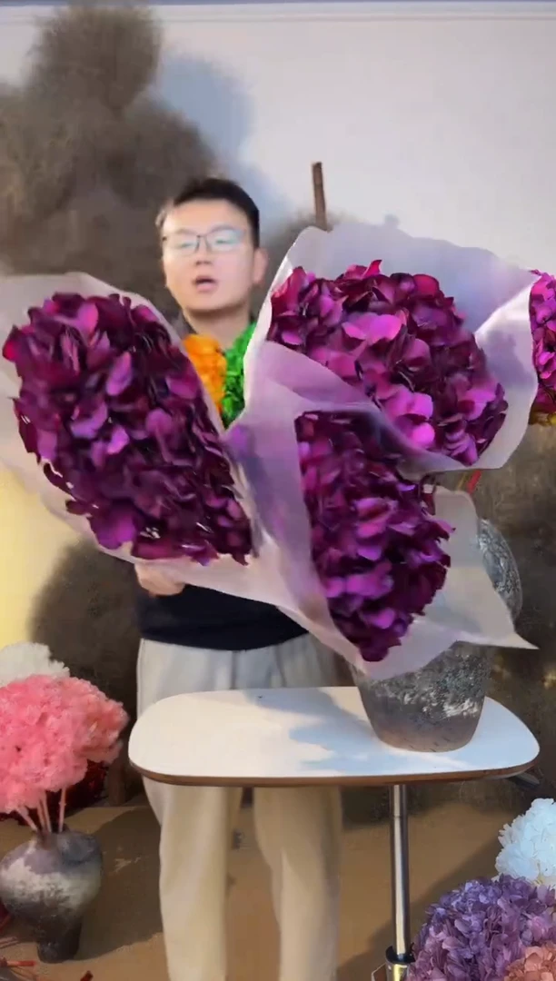 154  山前小麦 · 永生大叶绣球3枝 玫红