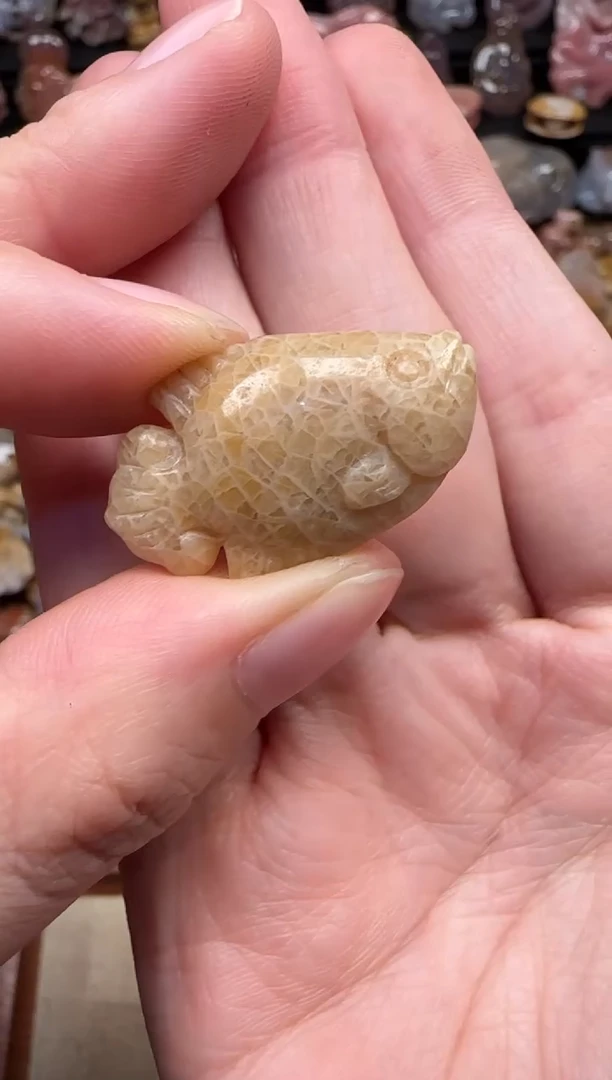 颈饰未镶嵌硅化珊瑚（珊瑚玉）742