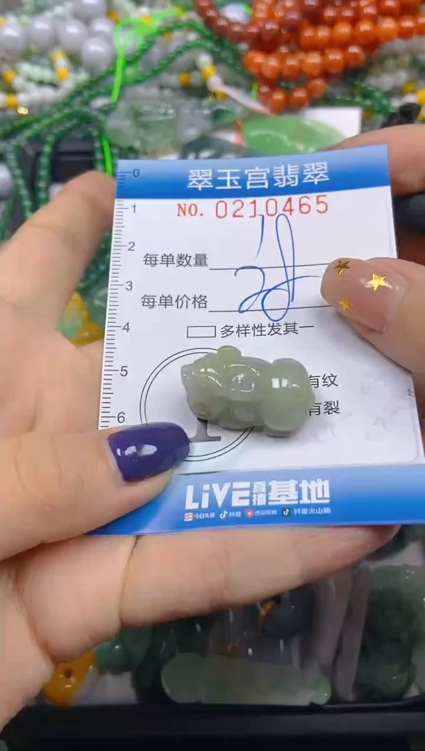 颈饰未镶嵌翡翠闪购C0210465