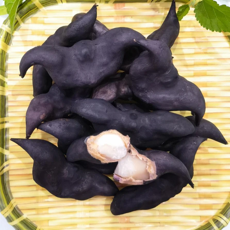 洪湖新鲜老菱角当季水果蔬菜粉糯香甜现摘现发1斤-3斤-5斤装包邮