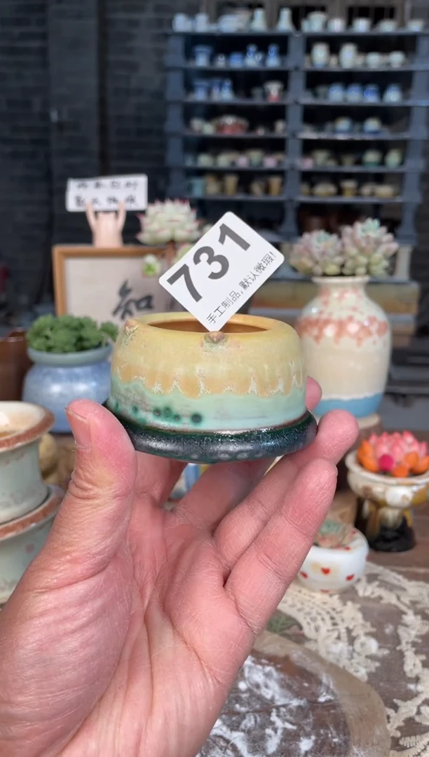 瓷片731知木小芳花盆直播编号