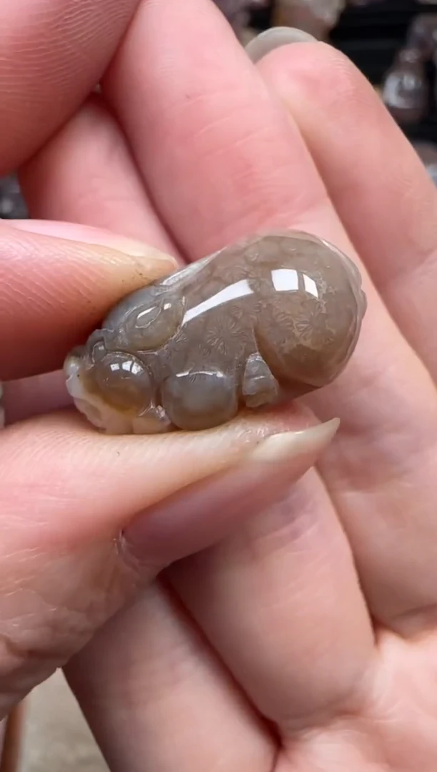 颈饰未镶嵌硅化珊瑚（珊瑚玉）357