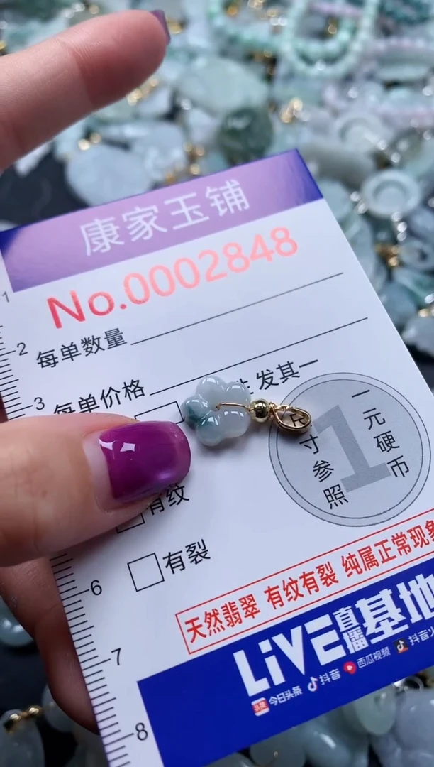 颈饰未镶嵌翡翠2848