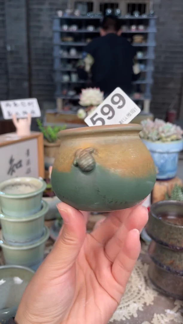 瓷片599知木小芳花盆