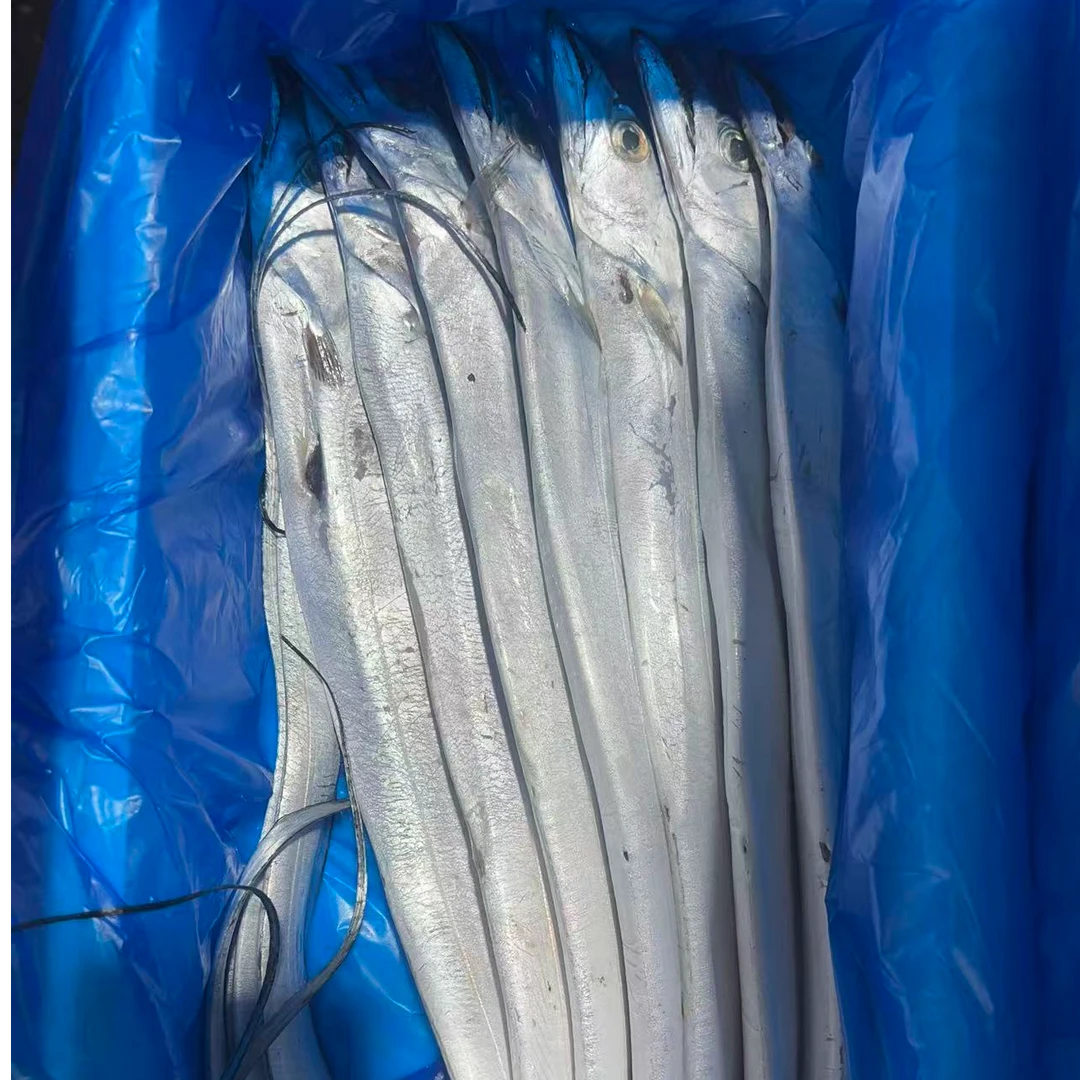 【精品】深海野生小眼油带鱼海鲜7条/箱包邮有擦皮介意勿拍